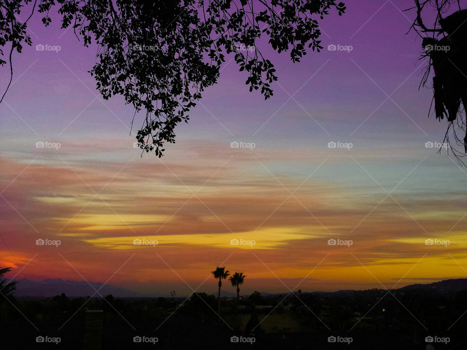 Sunset, Silhouette, Dawn, No Person, Tree