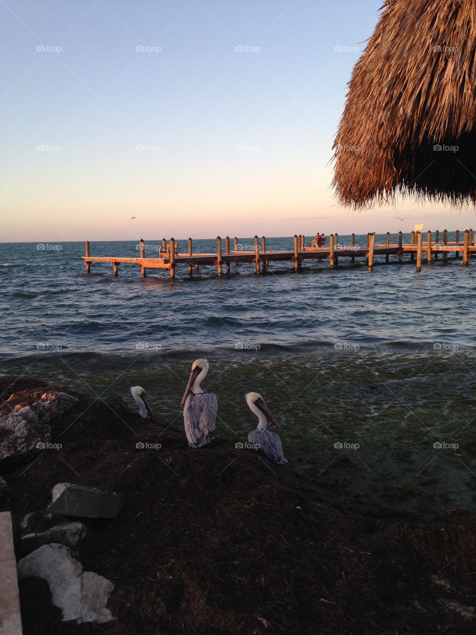 Florida keys