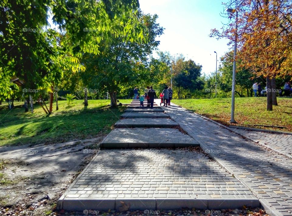 park-staircase парковая лестница
