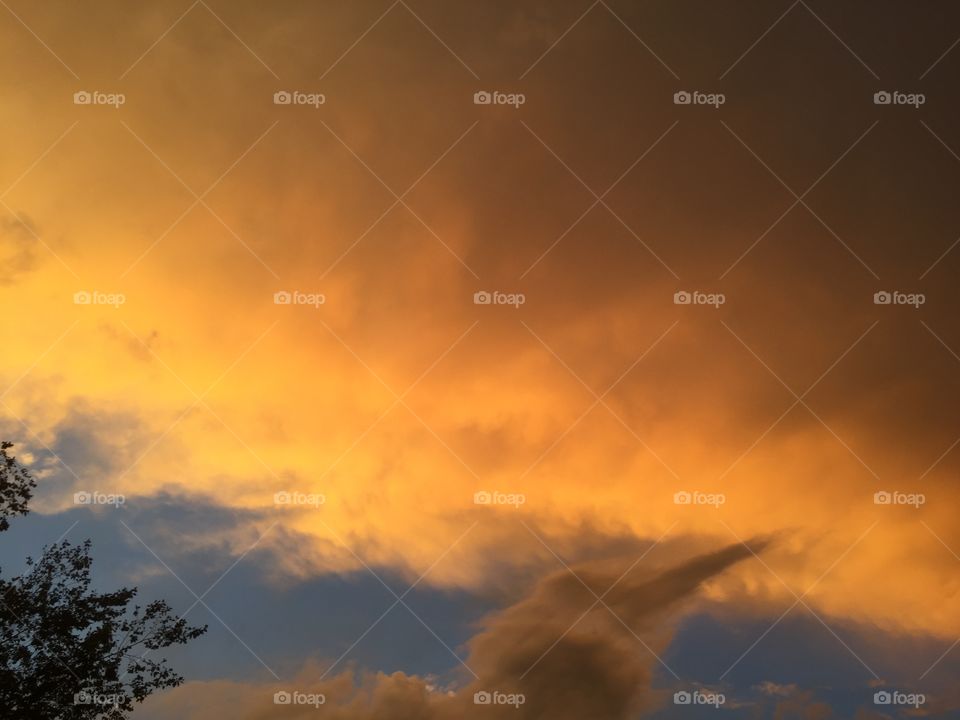 does anyone else see it?