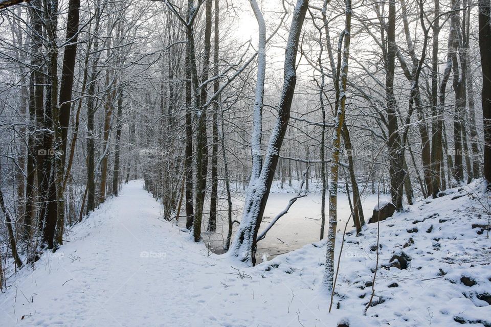 Landscape photo of nature in winter 