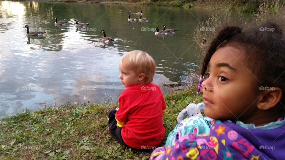 kids admiring geese at the fish hatchery lake