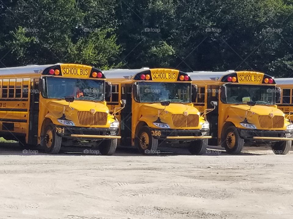 School Buses