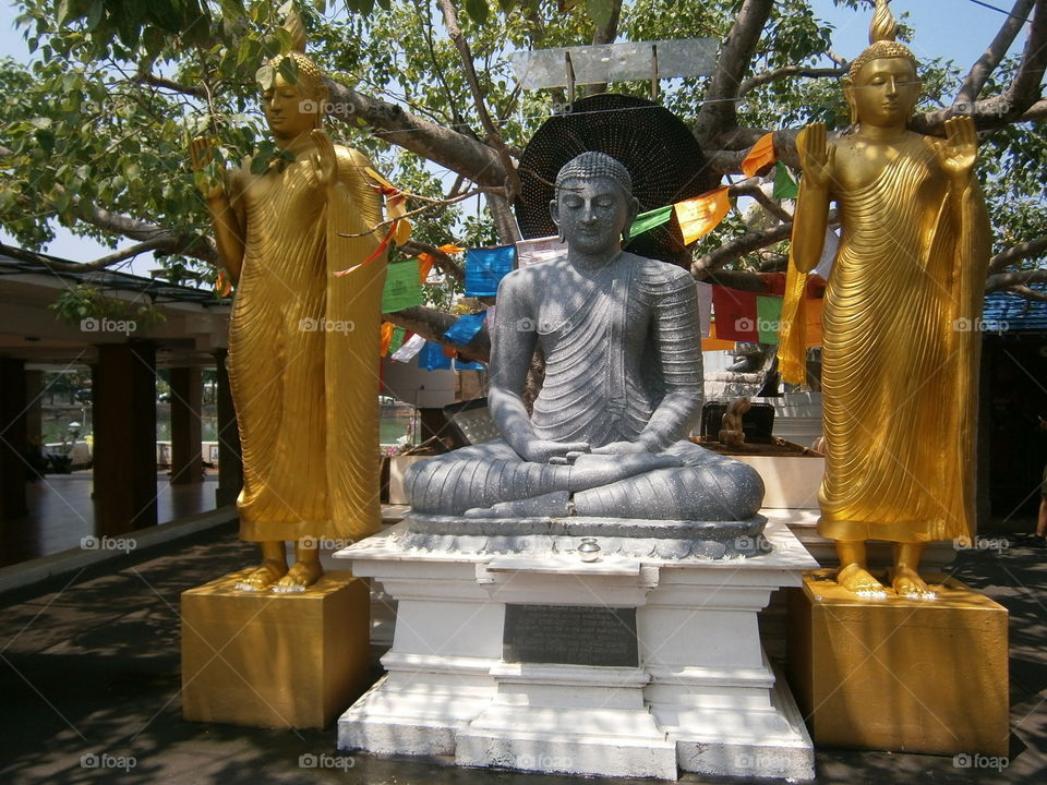 Tempie Colombo Sri Lanka