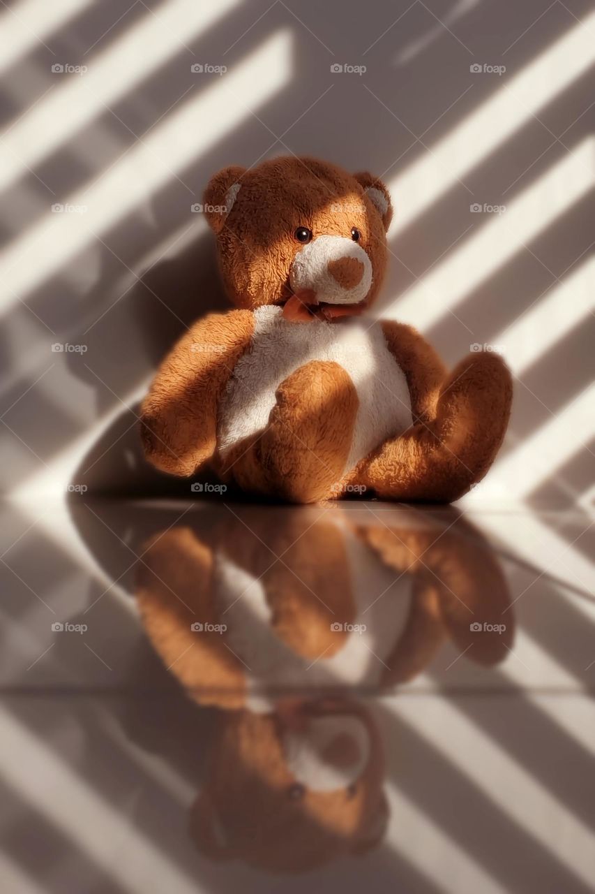 Teddy bear