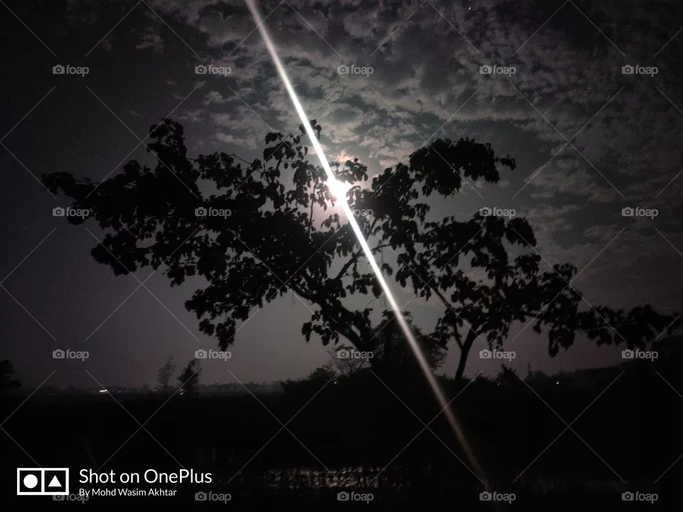 #Nightphotography#pro_mode#moonlight#treeshadow#Remember#that#the#viewer’s#eye#gets#attracted#to#the#brightest#part#of#an#image#Thus#avoid#framing#brighter#leaves#towards#the#edges#of#the#frame#