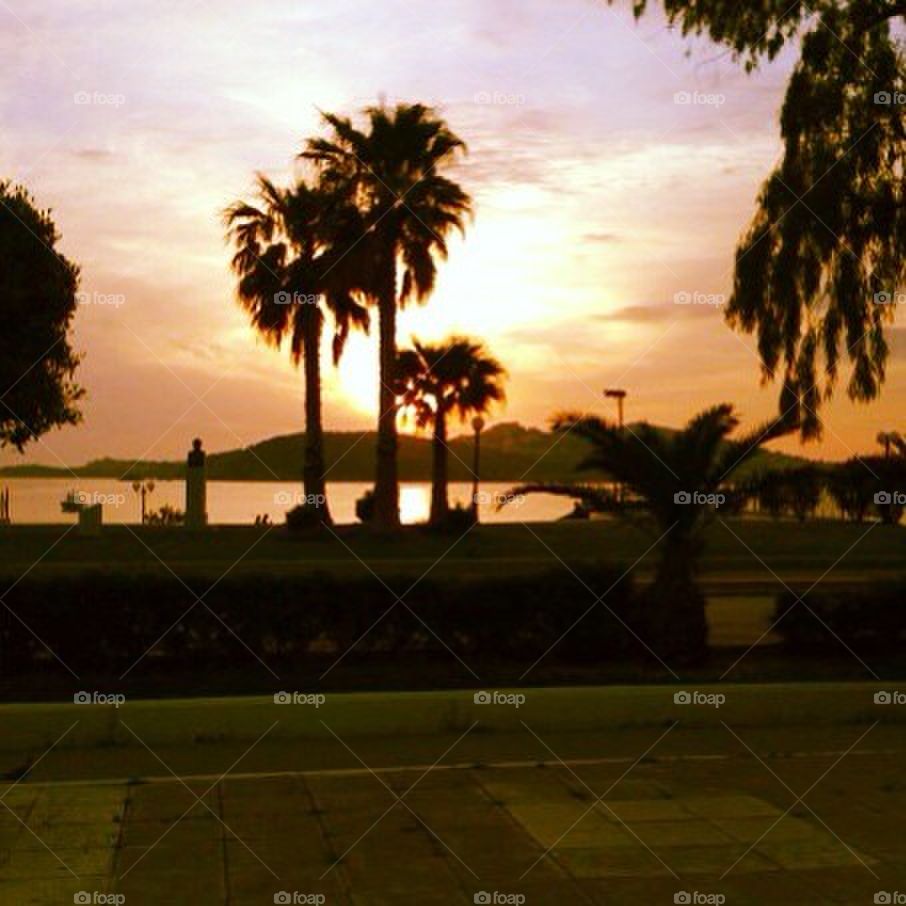 ano liosia π. φωκαια αττική by vrahidis