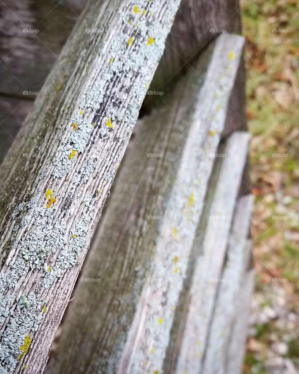 Close-up of a wooden fence