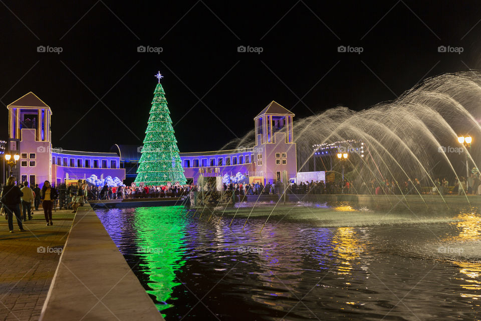 Christmas tree / Merry Christmas / Tangua Park.