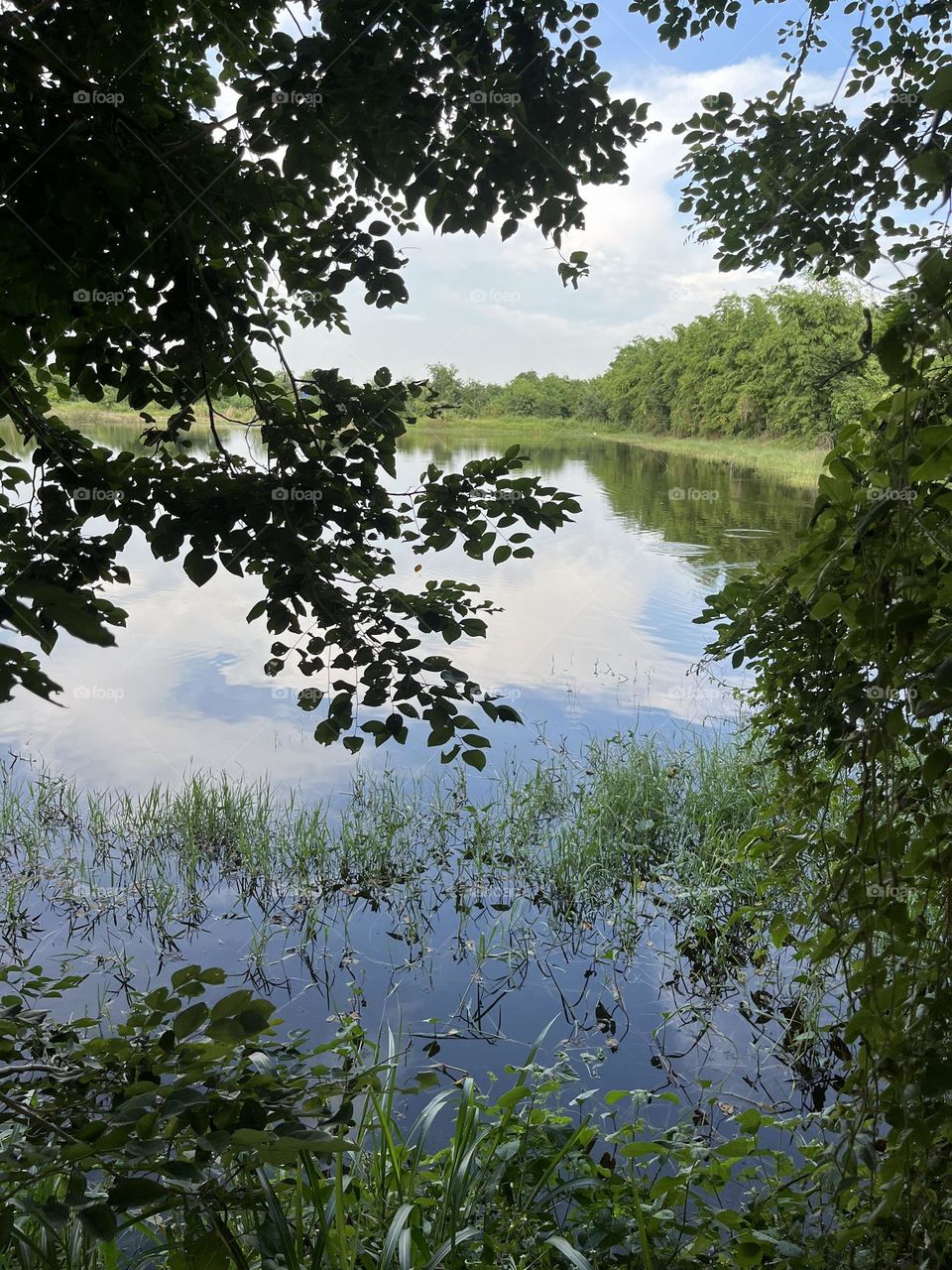 Beauty is all around us , upcountry ( Thailand)