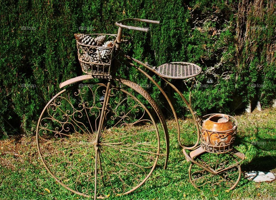 A garden bicycle for pots of plants and flowers.