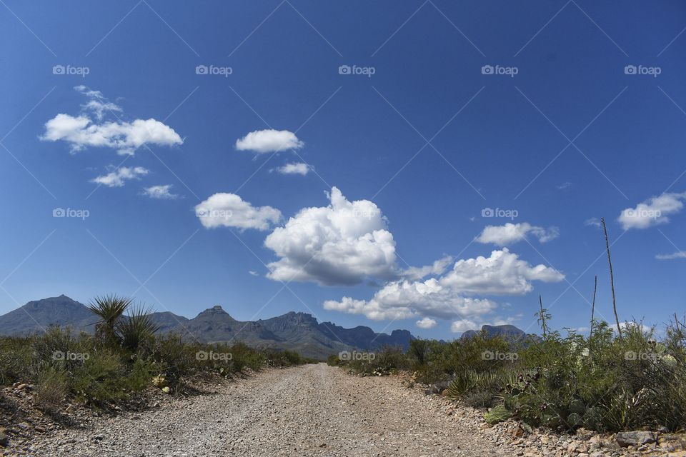 An empty dirt road leads to summer fun - hiking, cycling, and camping to name a few.
