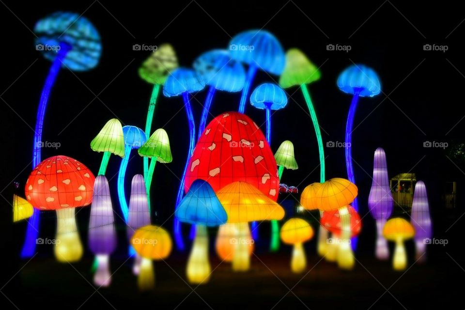 Illuminated mushroom field 