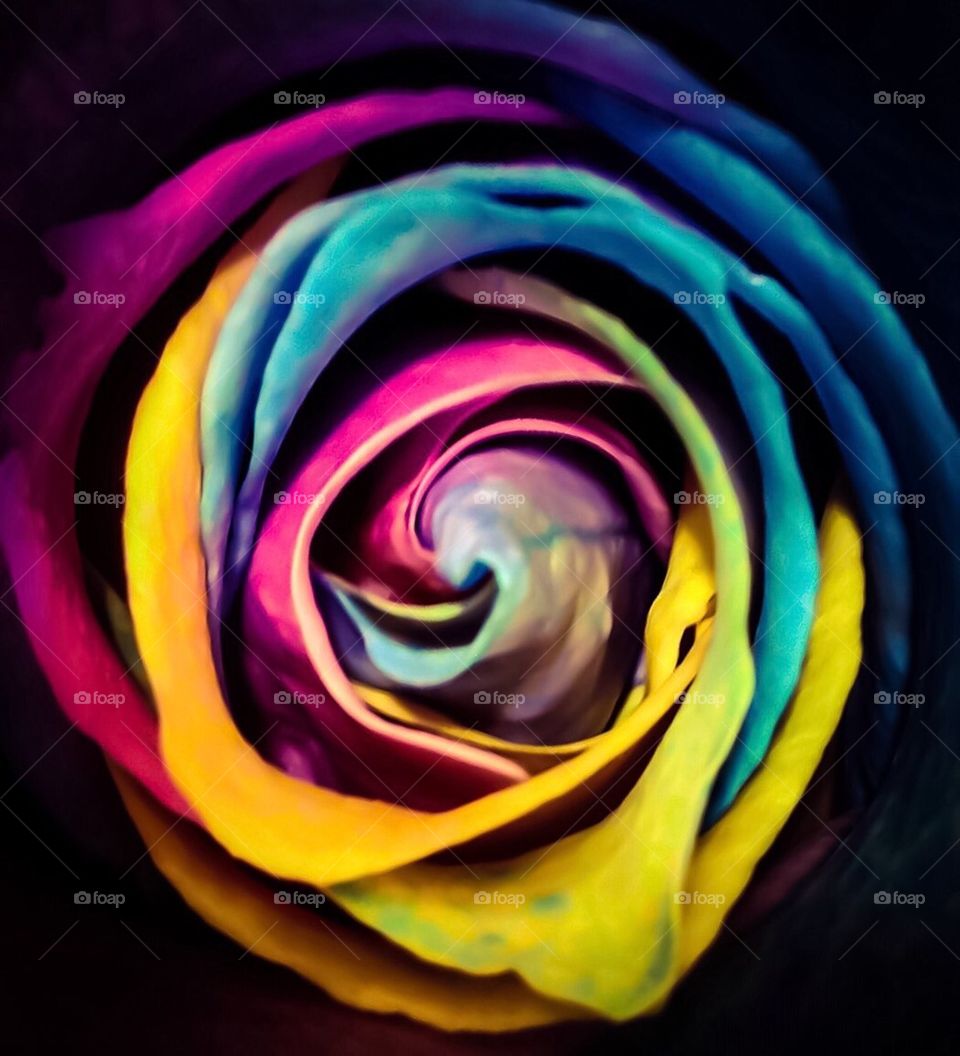 Watercolor Rose