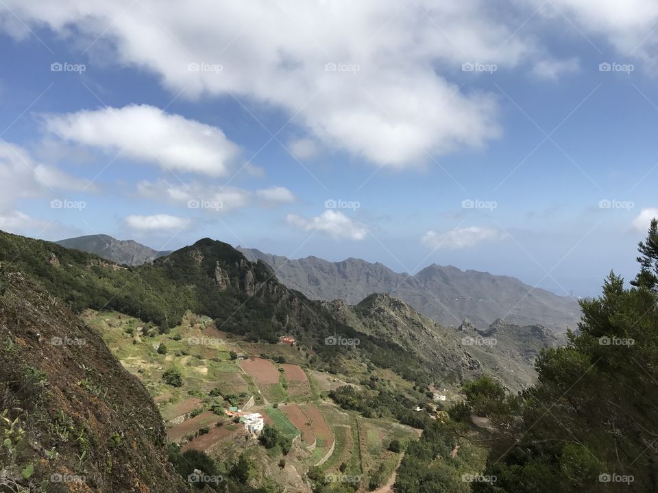 Discovering Tenerife 