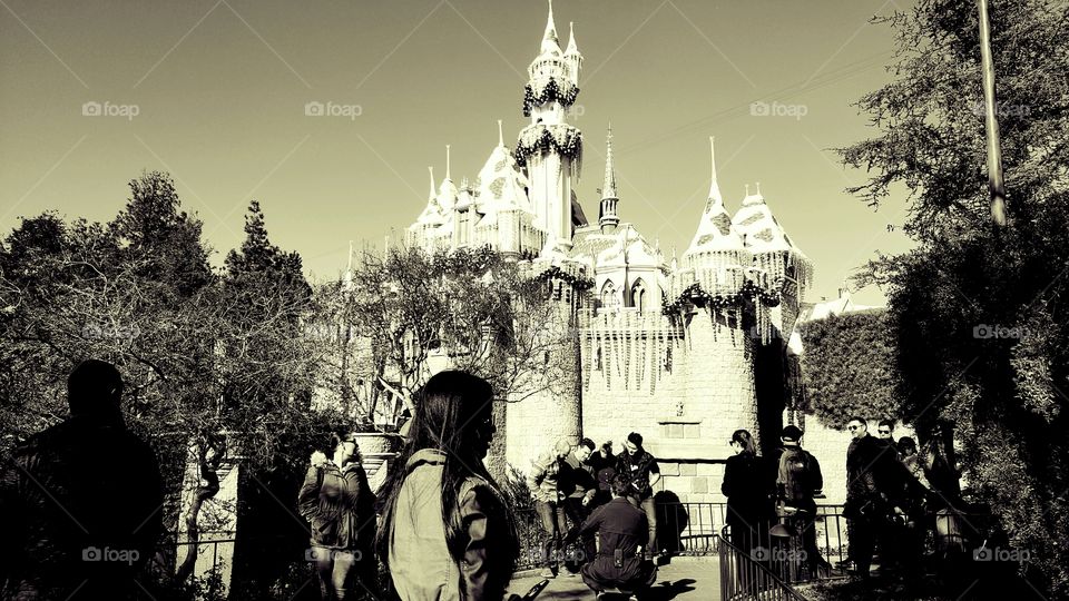 People enjoying the Disney castle.