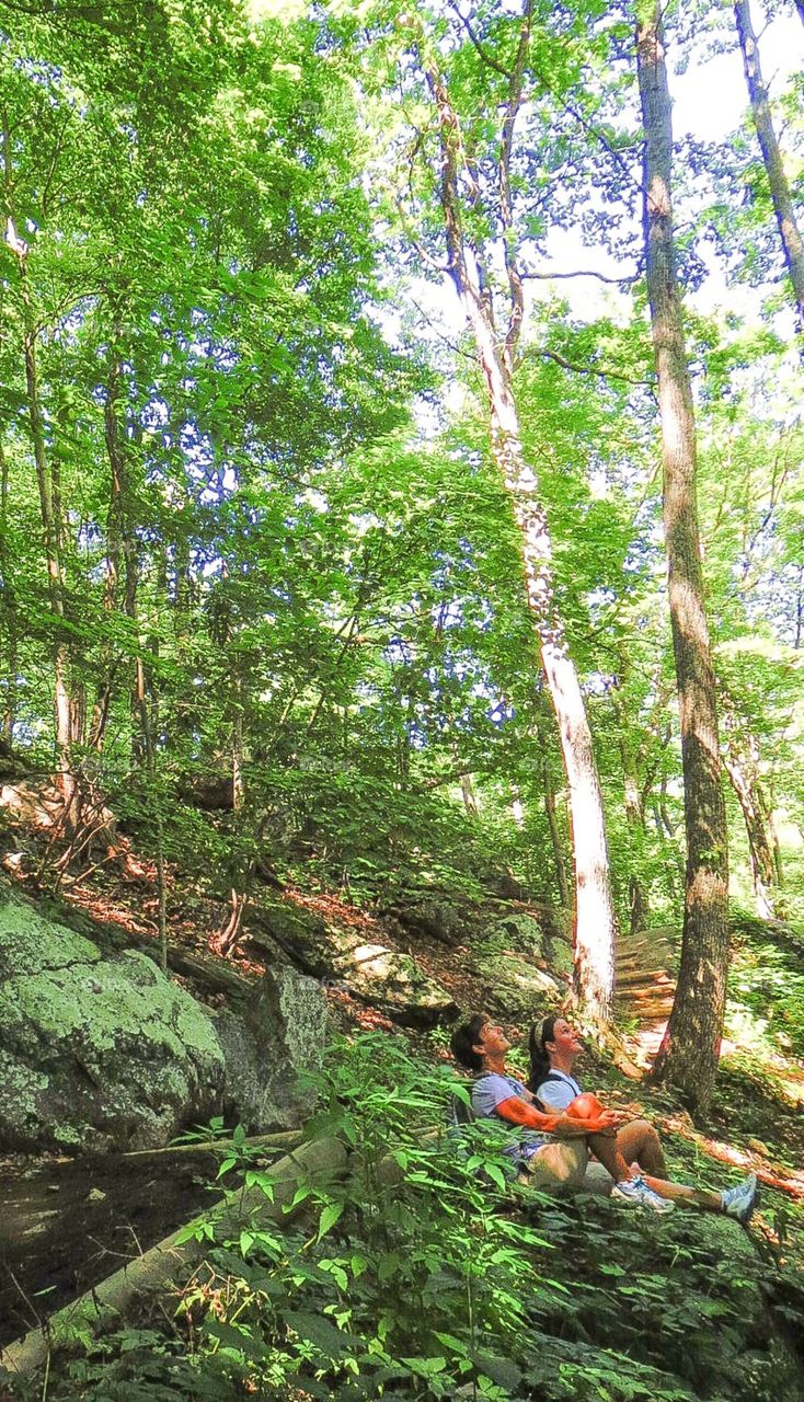 Look to the Trees. Mother and daughter looking up to the the treetops and sky, appreciating a special moment on a mountain hike