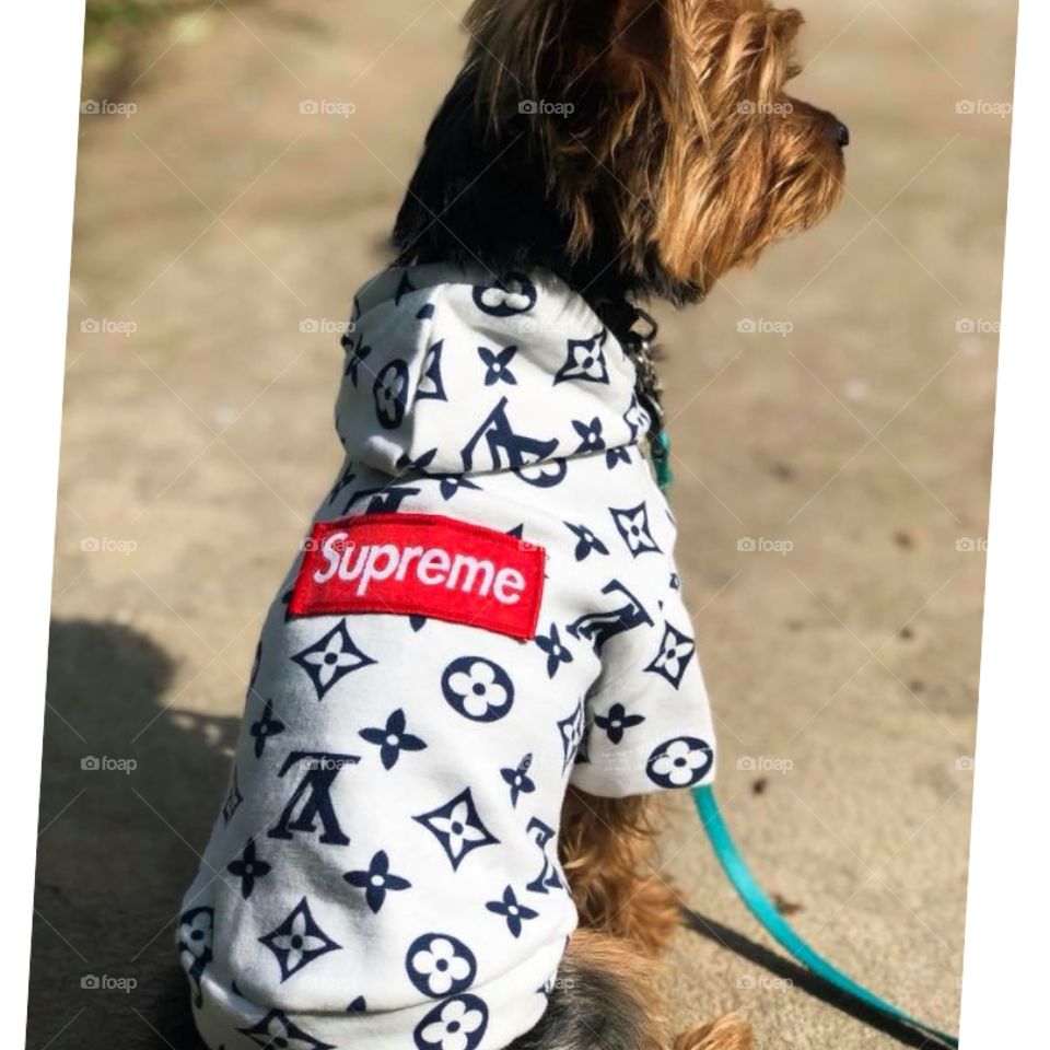 Wrigley is so extra ! 