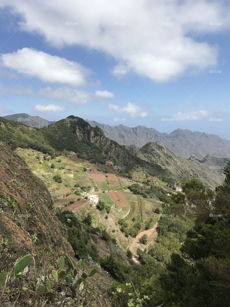 Discovering Tenerife 