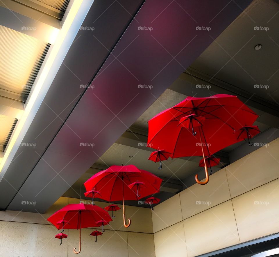 Hanging Umbrellas