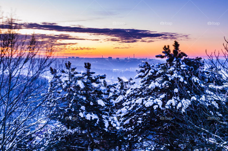 Nature landscape during sunset