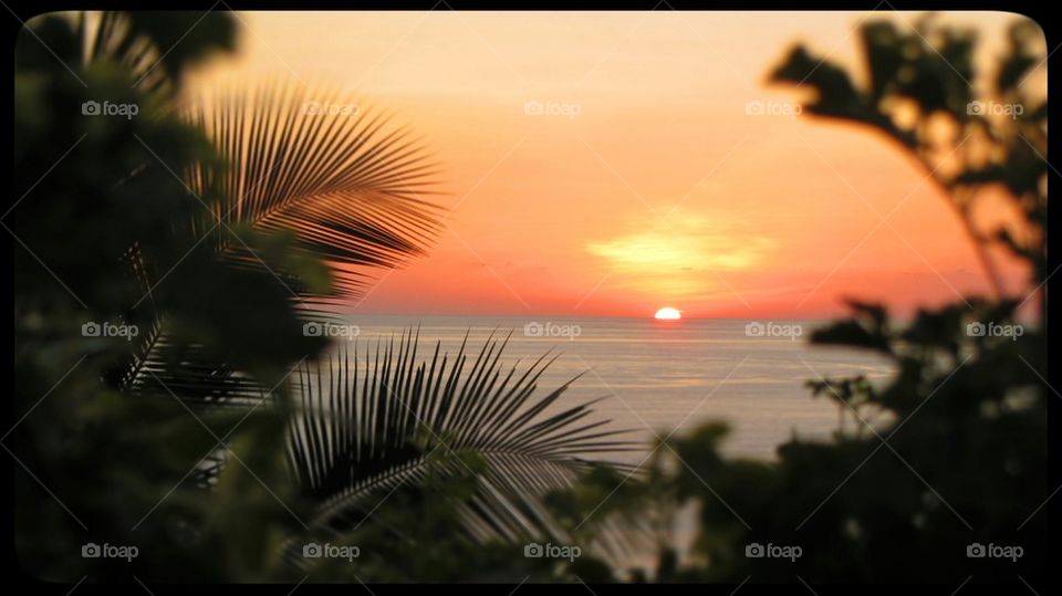 beach sunset mal pais infinity pool by jootto