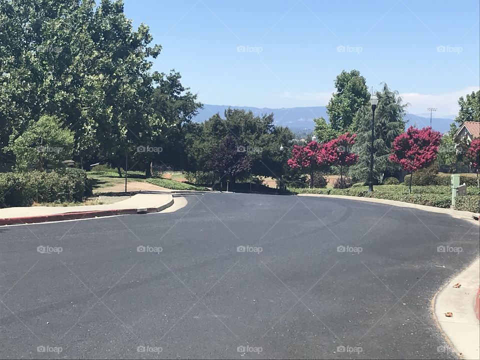 Just down the street 