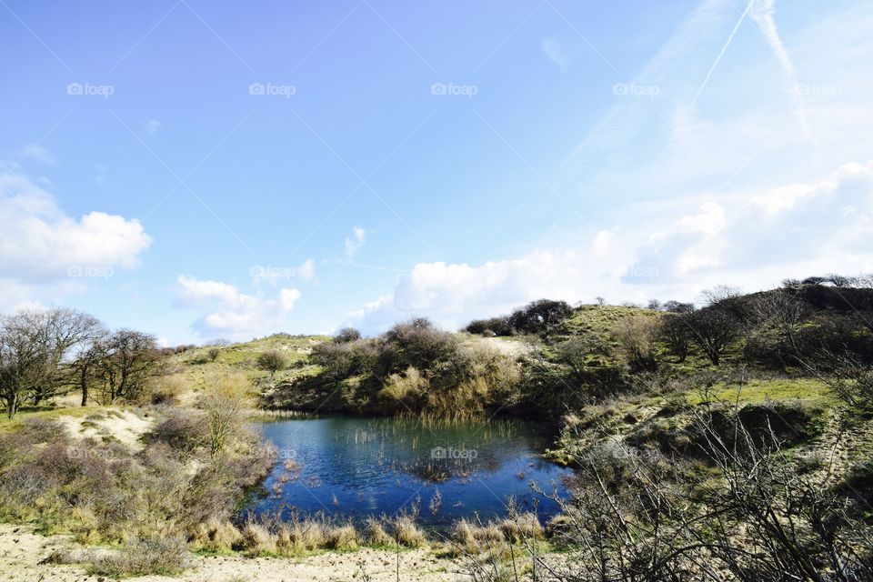 No, this isn't Africa. These are the dutch dunes!!