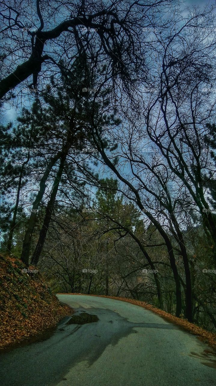 Oak Glenn California