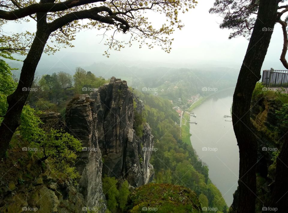 High angle view of nature