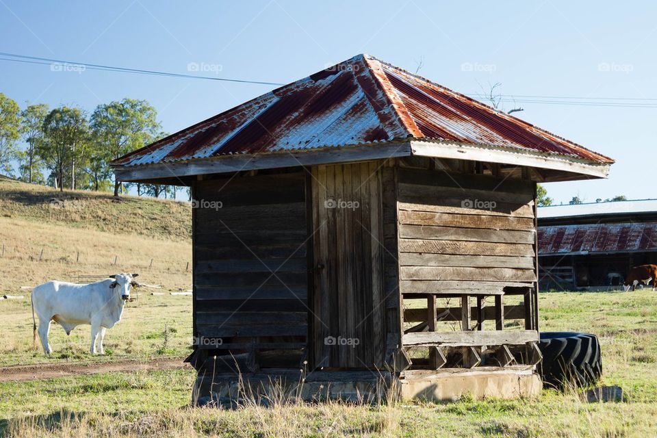 Country Farm Shed