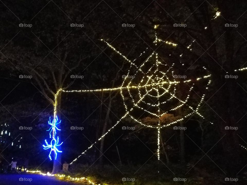 spooky spiderweb light display