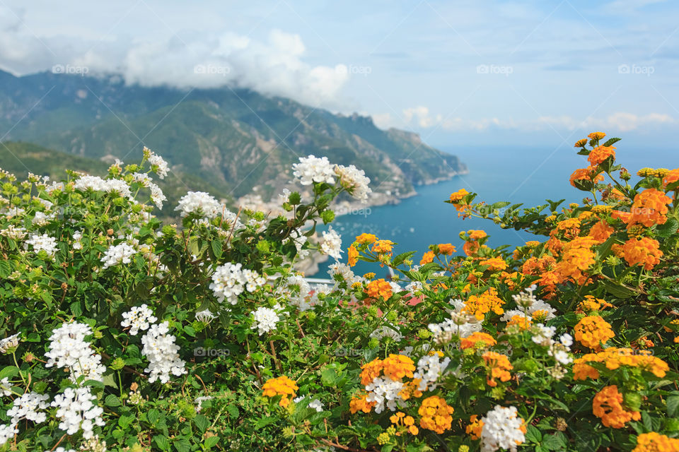 Flowers on Amalfi coast, Italy