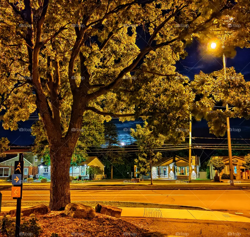 evening walk