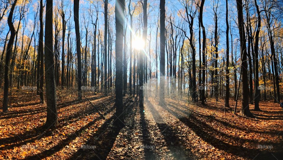 Hike while you can! // Shenandoah national park on a brisk November afternoon 🍂