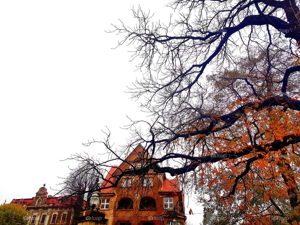 "When the trees their summer splendor
Change to raiment red and gold
When the summer moon turns mellow
And the nights are getting cold..."