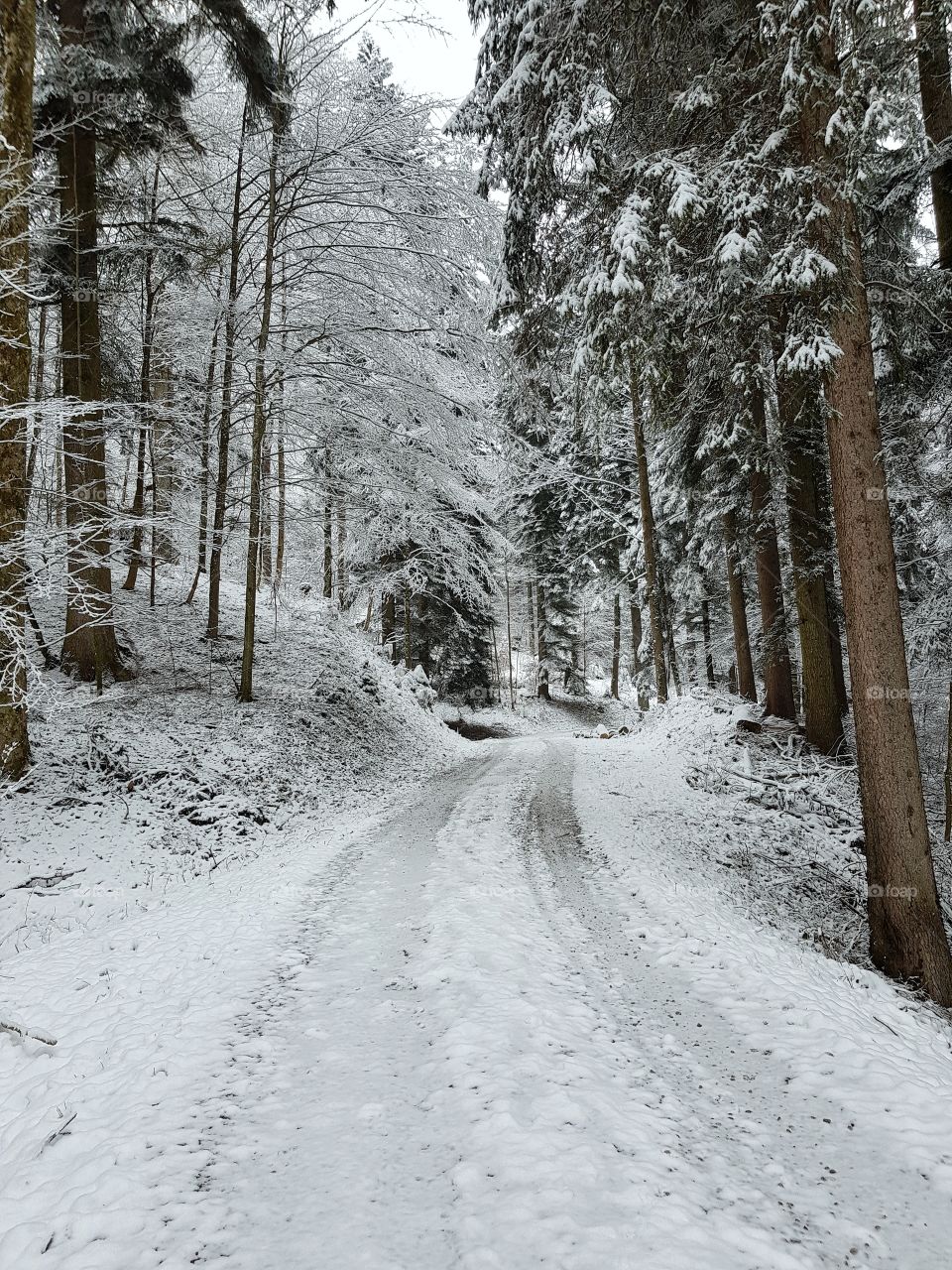 Winter landscape in Switzerland. Winterlandschaft in der Schweiz.
