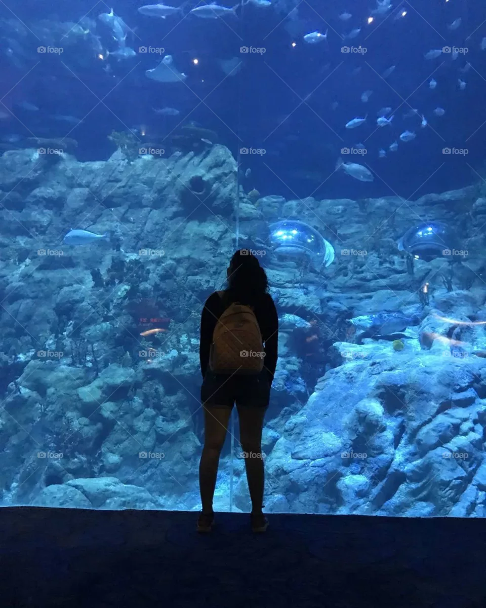 🐳🐳