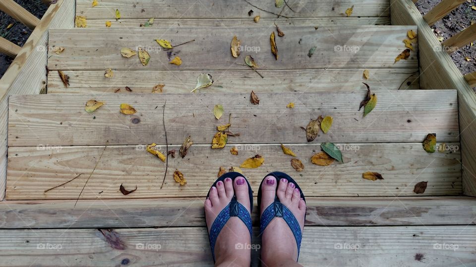 From where I stand it looks like fall is in the air there are a lot of leaves falling already