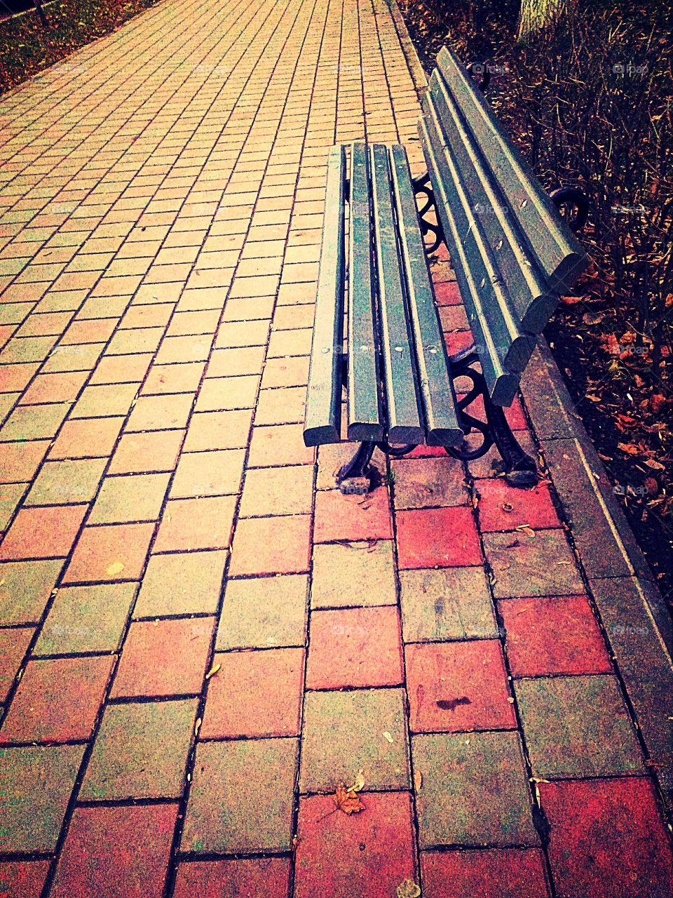 public bench on the pavement
