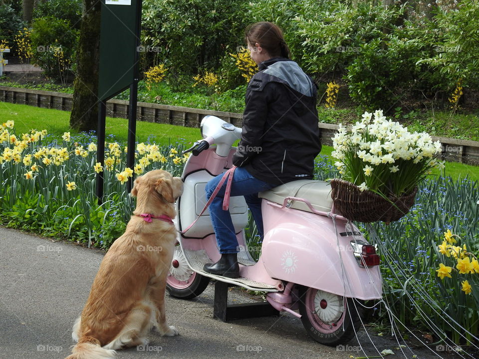 Out & about in Keukenhof