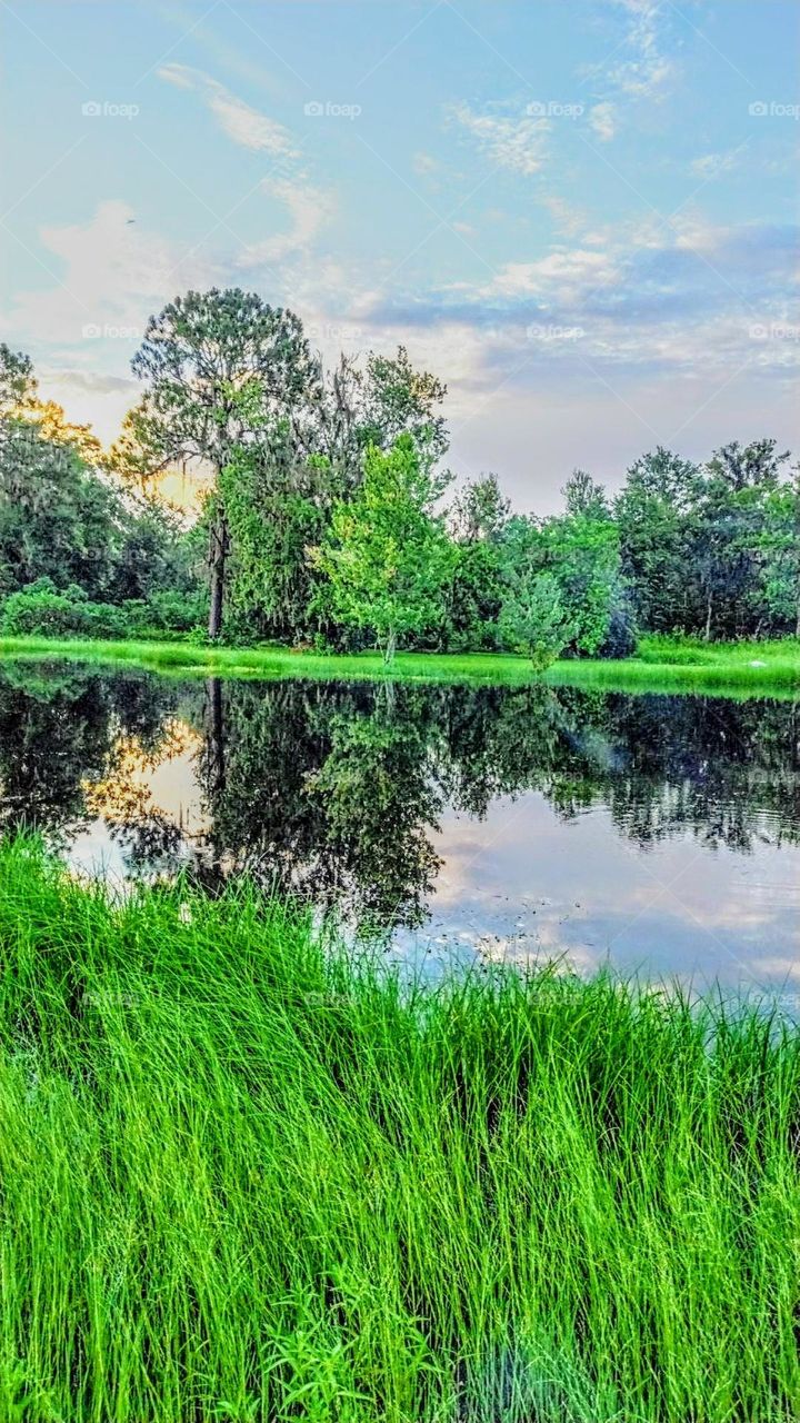 Reflection Pond