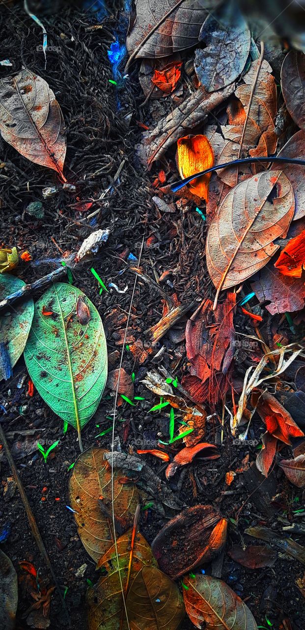 contrast colour stories