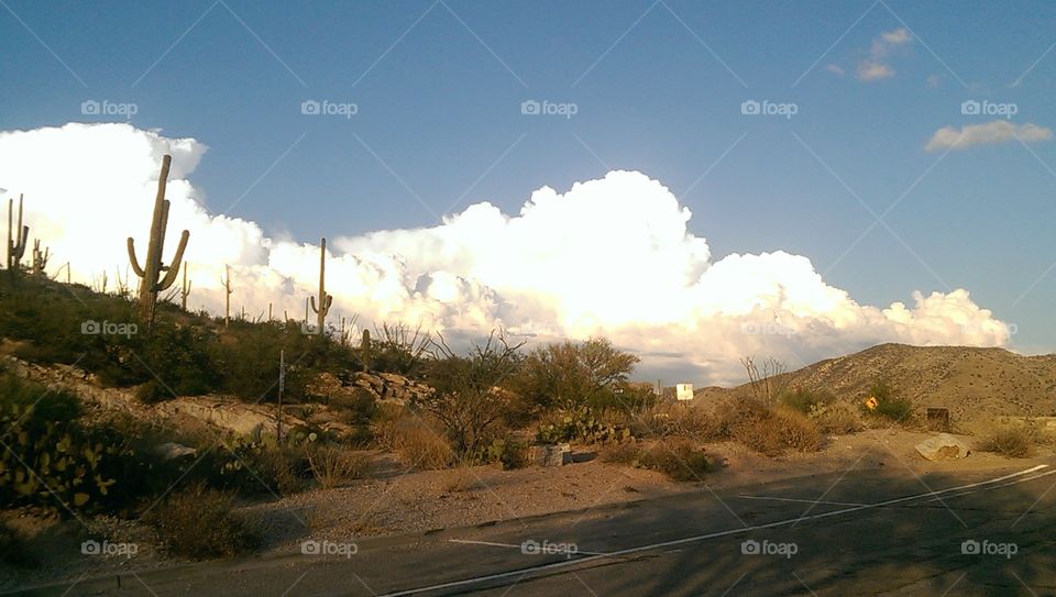 Tucson Christmas skyline