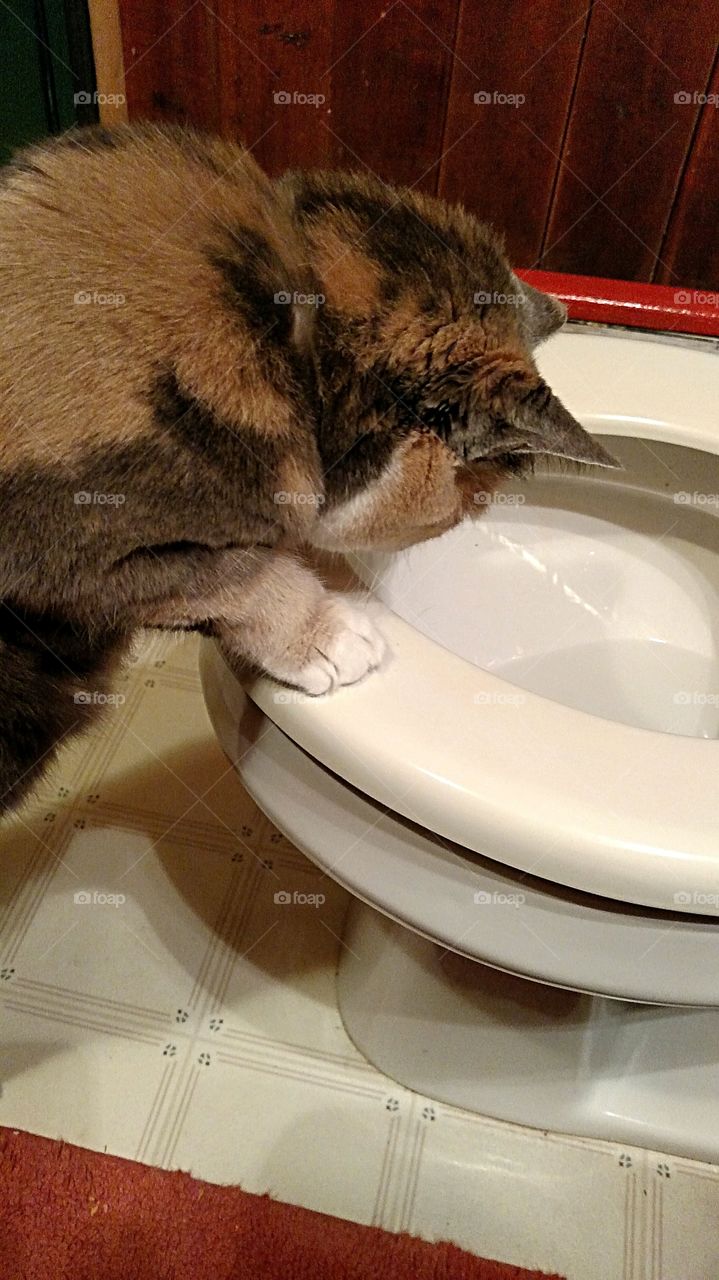 Step One ensure clean water