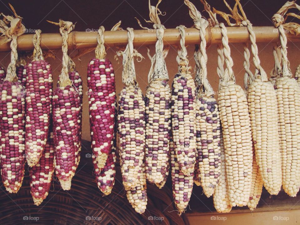 Corns