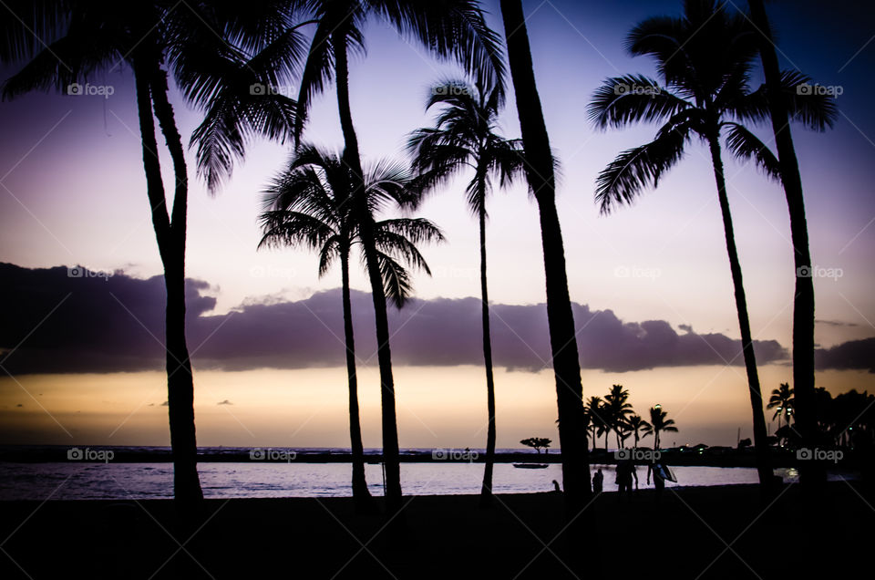 Sunset on the beach in Waikiki, Honolulu, Oahu, Hawaii 