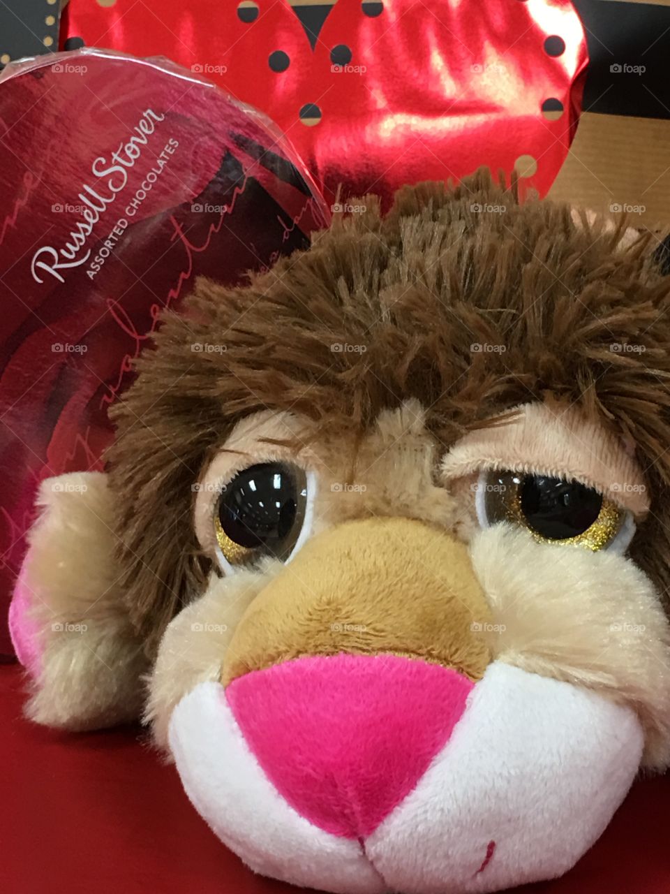 Valentine's Day lion teddy bear 