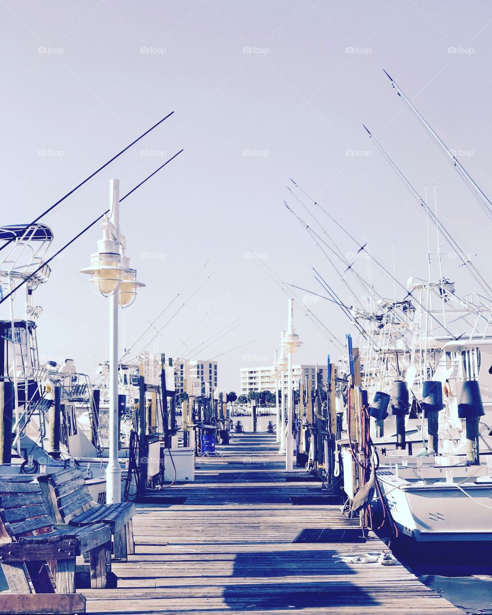 Boats on the Harbor