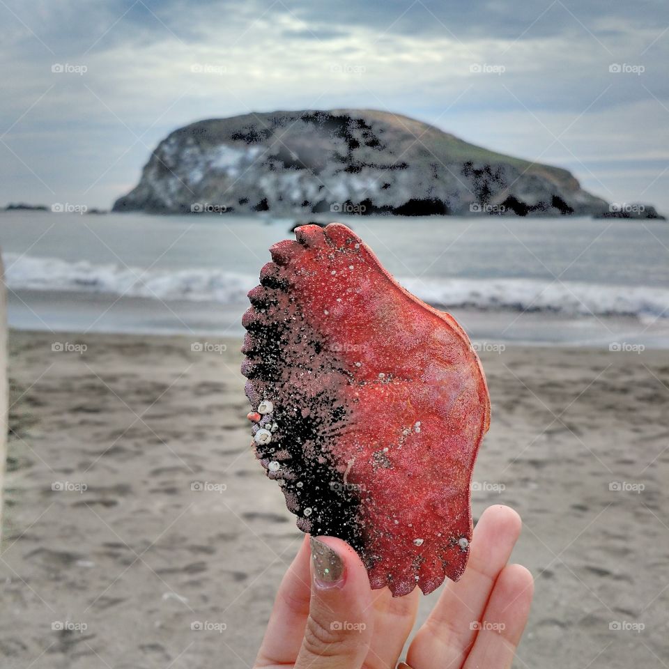 Walking the Oregon shore. August 2015